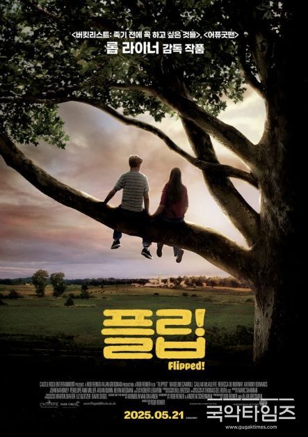 플립